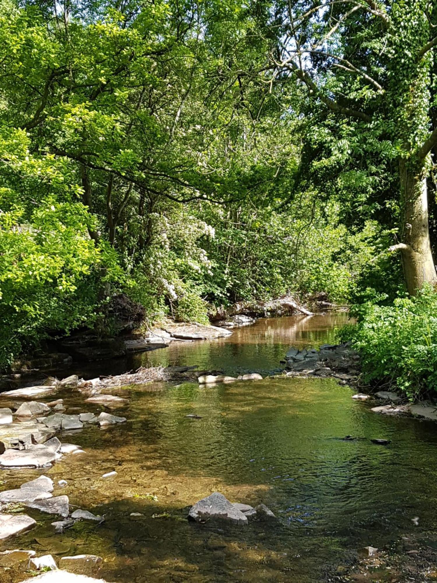 River Cottage@Cwm Mill - Riverside Family Holidays In The Black Mountains Hereford Bagian luar foto